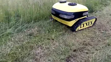 Jaké trávy můžeme rozdělit?