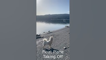 A Relaxing Morning Beach Walk as a Float Plane Takes Off