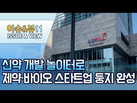 신약 개발 놀이터로…제약·바이오 스타트업 둥지 완성 / 머니투데이방송 (뉴스)