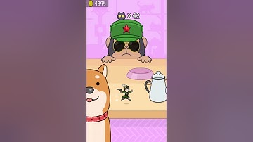 Hide and Seek: Cat Escape! 👀🐱243 Endless Mode Gameplay Walkthrough | Best Android, iOS Games