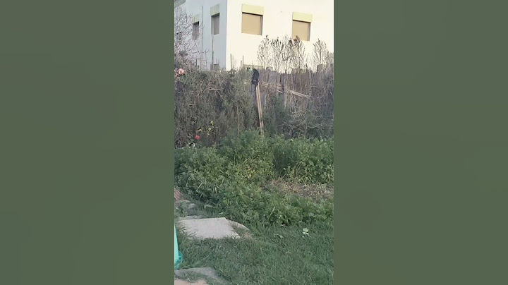 #جري عليا نجري عليك