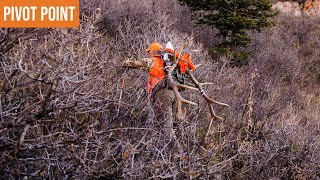 I Want an Elk THAT BAD! | Colorado Elk Pivot Point