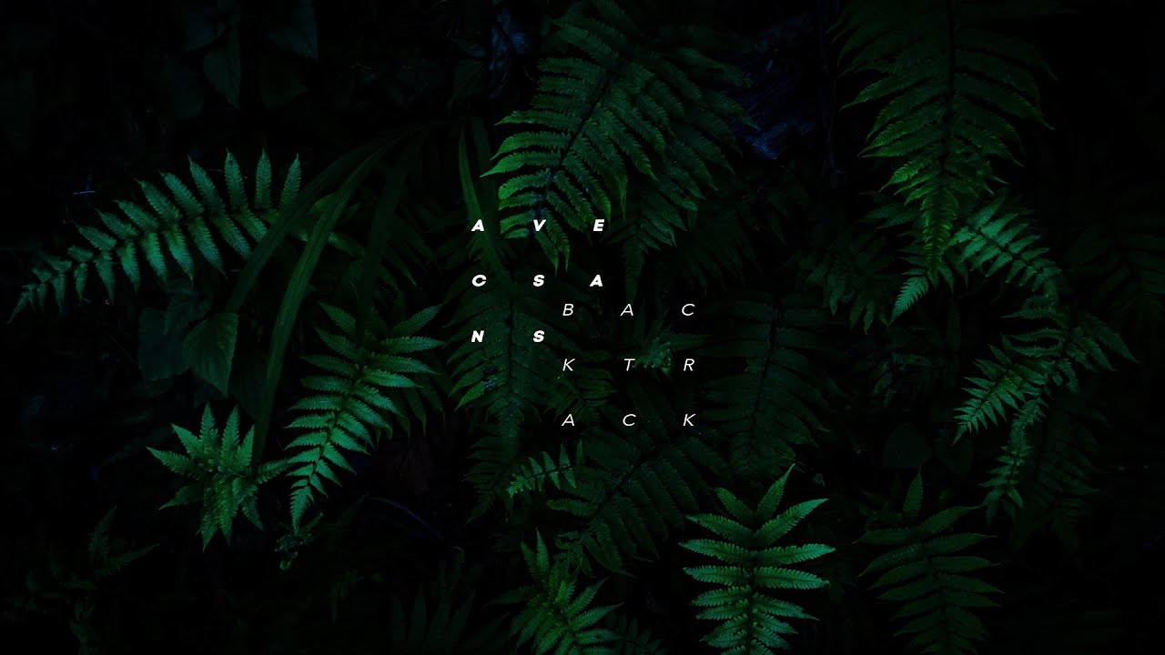 Watch Avec Sans - Backtrack on YouTube Watch Avec Sans - Backtrack on YouTube
