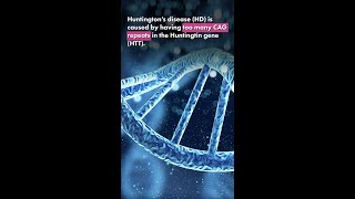 Research Video Series - Hunting For Balance How The Huntingtin Protein Compensates In Hd