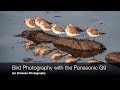 Bird Photography with the Panasonic G9 and Panasonic Leica 100-400mm lens