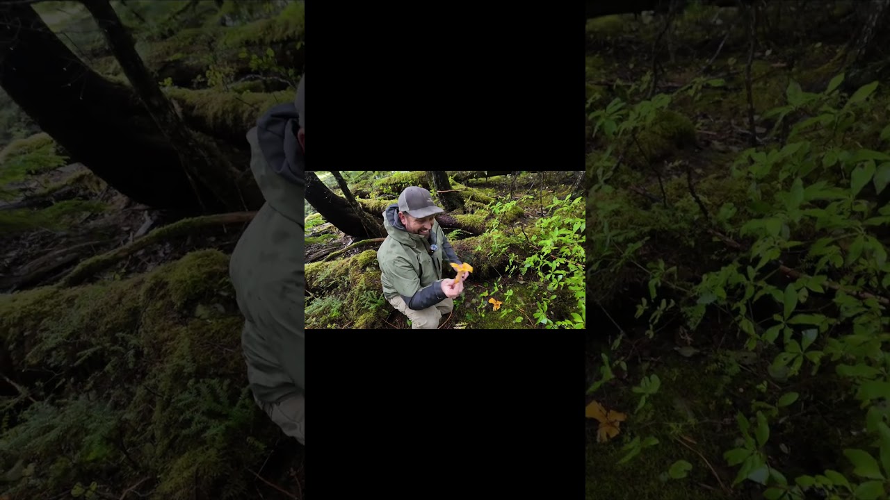 Alaska Experience: Fishing,  Foraging, Bears, Outdoor Adventure 