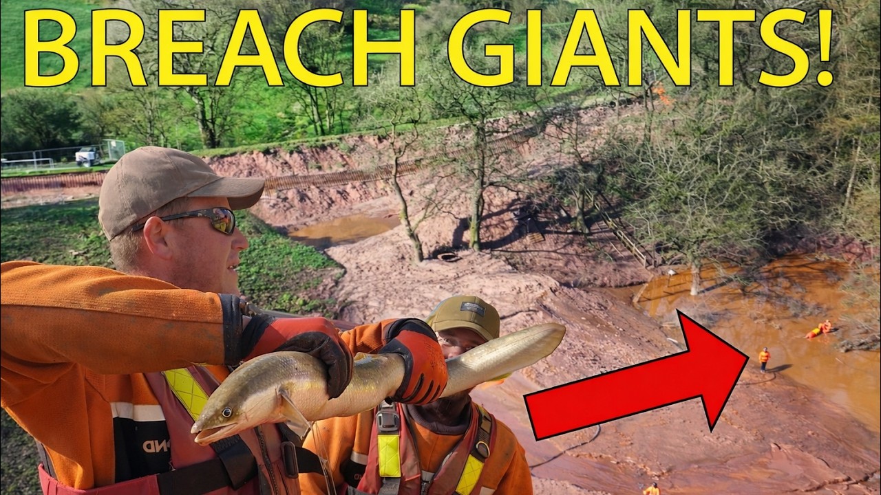 Whitchurch Canal Breach Fish Rescue, Full Of Monsters! - YouTube