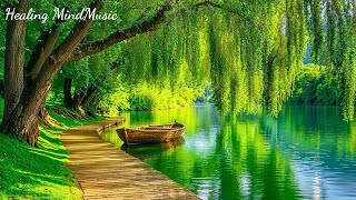 Gentle music calms the nervous system and pleases the soul 🌿 Relaxing Music to Reduce Stress