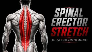 Effective Back Stretch: Relieve Tight Erector Muscles with  Seated Stretch for Erector Spinae Relief