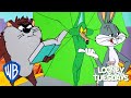 Looney tuesdays  do they ever learn their lesson  looney tunes  wb kids