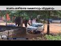 ആനയ്ക്ക് വേണ്ടത് മതിയായ ആഹാരവും വിശ്രമവും; അത് കിട്ടിയാൽ അവർ സന്തോഷവാന്മാരാകും - പി ബി ഗിരിദാസ്