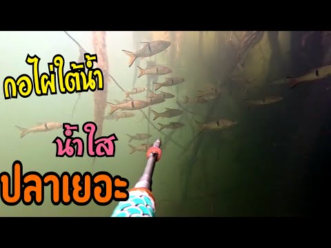 ผลสลากกินแบ่งรัฐบาล วันที่ 1 พย. 2567