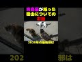 青島猫が減った理由についてのお話　#猫 #子猫 #animalrescue