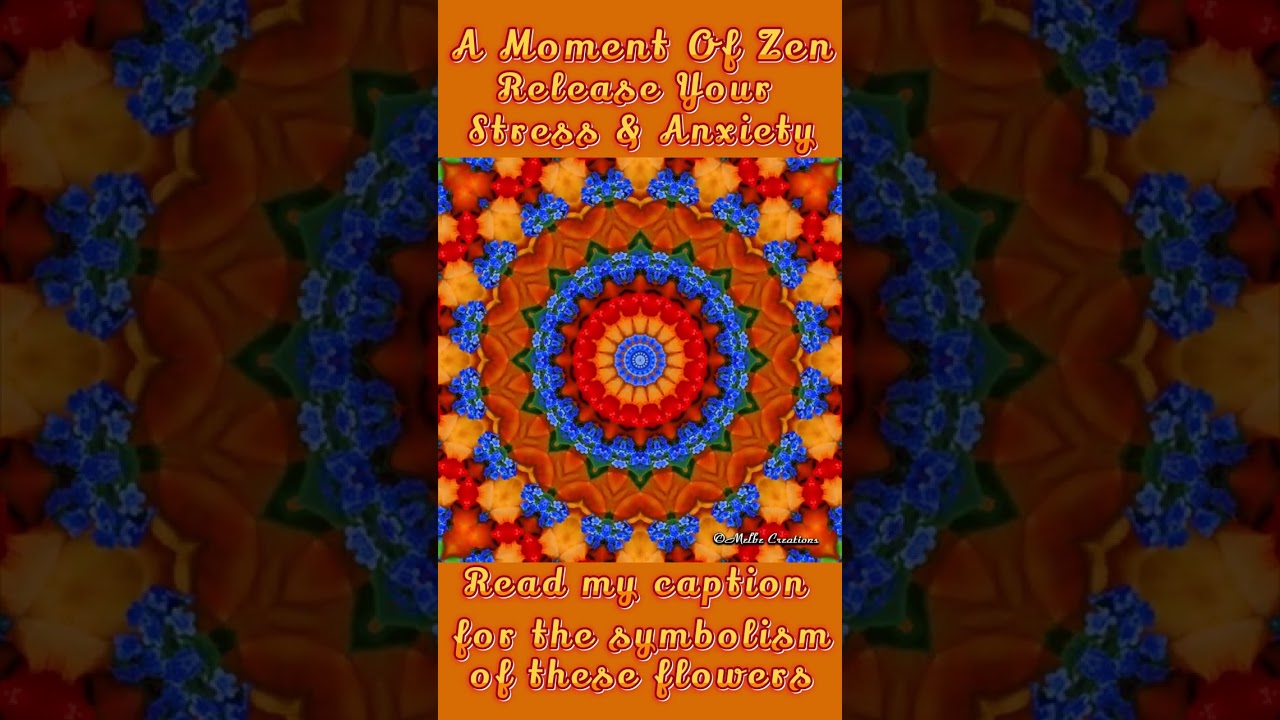 Mesmerizing Memories Stress  Relief