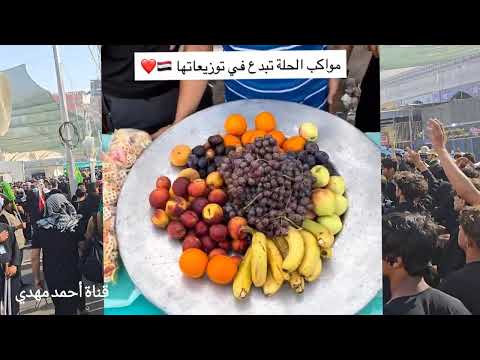 زيارة الأربعين 2025 مواكب الحلة تبدع في توزيعاتها أحمد مهدي