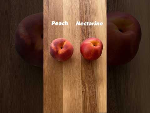 Why you need to use nectarines in your peach cobbler #peaches #peachcobbler #foodscience #food