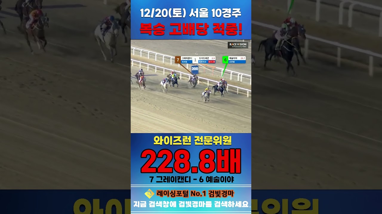 [서울 경마] 12월 20일 토요 10경주 와이즈런 전문위원 복승 고배당 적중 #경마 #horse #한국마사회 #automobile #하이라이트 #horseracing