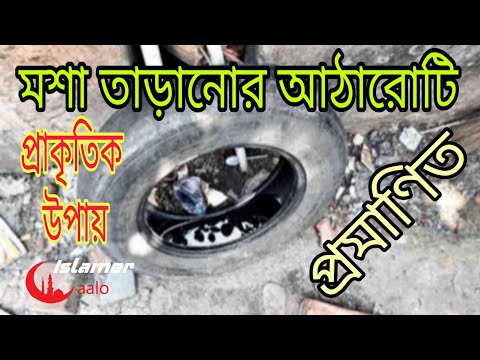 ভিডিও: মশা তাড়ানোর লবঙ্গ তেল: কিভাবে লবঙ্গ অপরিহার্য তেল প্রয়োগ করবেন? এটি কিভাবে পাতলা করা যায়? এটা সাহায্য করে? পর্যালোচনা