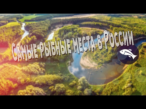 Самые рыбные места в России