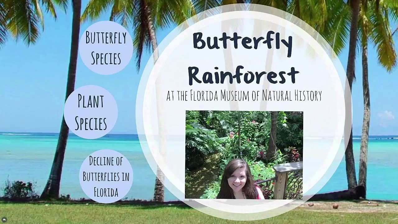 Gainesville Day 2017 YouTube gainesville-day-2017-youtube