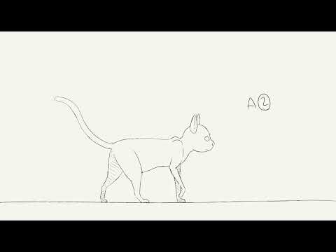 Cat walk cycle animation