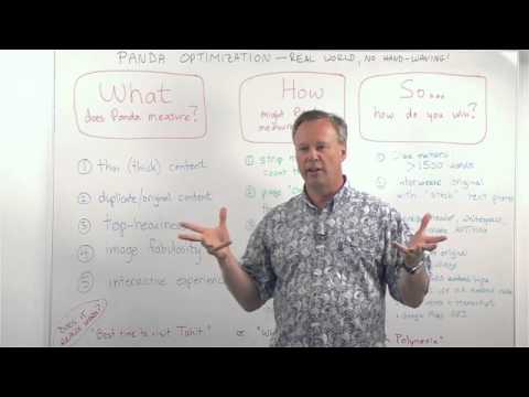 Google Panda SEO Algorithm Explained + Recovery Tips - YouTube