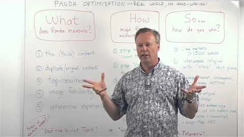 Google Panda Algorithmus einfach erklärt + Wiederherstellungstipps