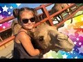 Bella speaks Arabic and sings her favorite song with camel 🐪🐫🐪