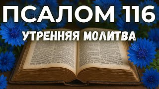 картинка: 26 СЕНТЯБРЯ ПСАЛОМ 116 | Хвалите Господа, все народы!