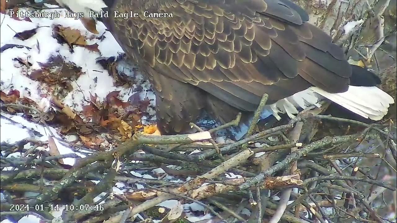 Hays Eagles Mom enjoying the first food gift from Vred meat! 1142024