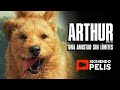 ARTHUR | EL REY PERRO | RESUMEN + OPINIÓN EN 11 MINUTOS