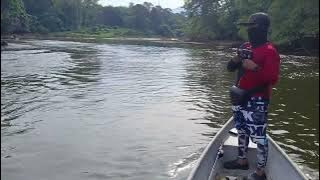 toman gerik perak-rafael masuk rafael