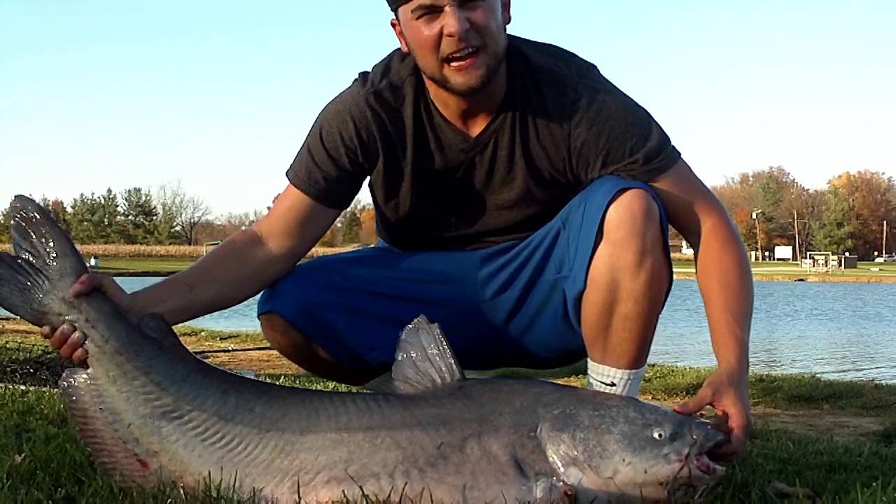 Lake Cozy Dale/4 - YouTube