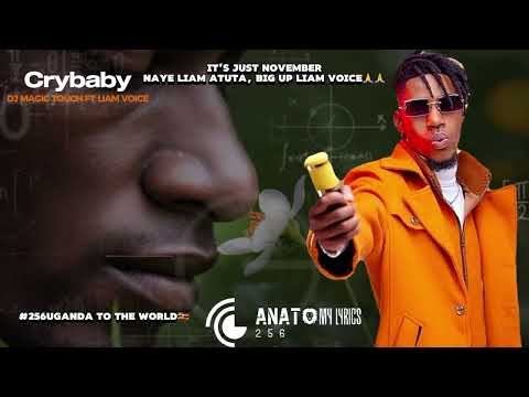 Cry baby-Liam voice ft Dj magic touch[lyrics video]