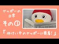 ヤッポーの日常 その①「休けい中のヤッポーに密着！」