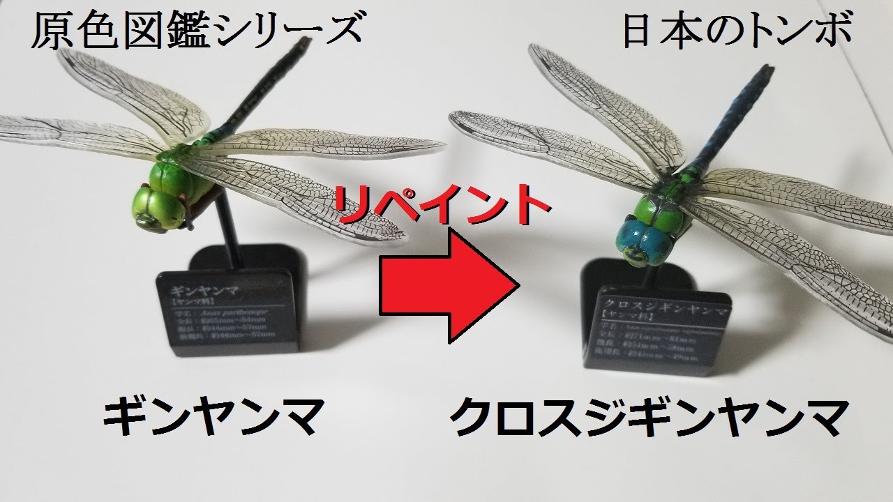 原色図鑑シリーズのギンヤンマをリペイントしてクロスジギンヤンマを