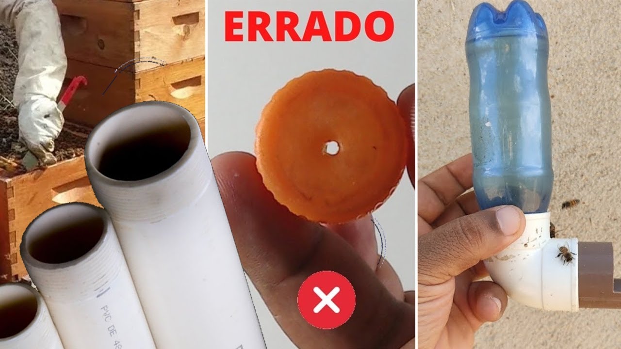 NÃO ALIMENTE SUAS ABELHAS COM CANO PVC E GARRAFA PET ANTES DE VER ISSO | COMO FAZER E USAR