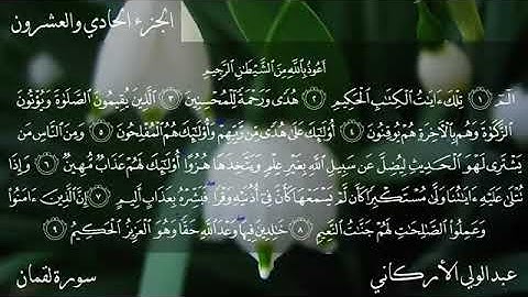 القارئ عبد الولي الأركاني سورة لقمان كاملة جودة عالية