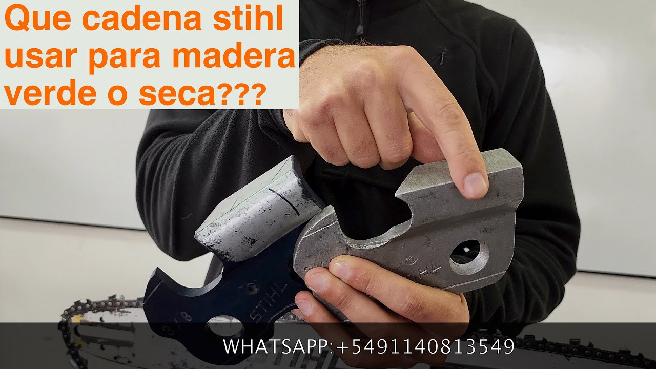 Tipos de cadena de motosierra ¿Qué cadena usar para madera verde y madera  seca? Stihl Argentina 