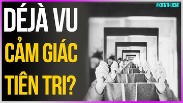 DéJà Vu - Cảm giác tiên tri? [DLDBTT]