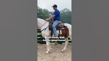 Why I Prefer A Loose Rein When Training Horses. | The Horse Guru-Michael Gascon