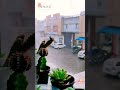 مؤثرات صوتية لمحبي الهدوء صوت المطر 1 