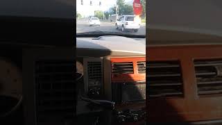 Apbt Canine Performance Athletes You Want For Rats Back