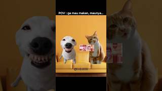 Download Lagu dame un grrr.. 😂#shorts #kucinglucu#catmemes #ngakak MP3