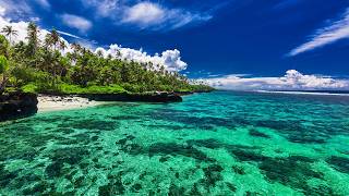 Summer Beach Bossa Nova Ambience with Relaxing Seaside Jazz & Ocean Waves for Good Mood
