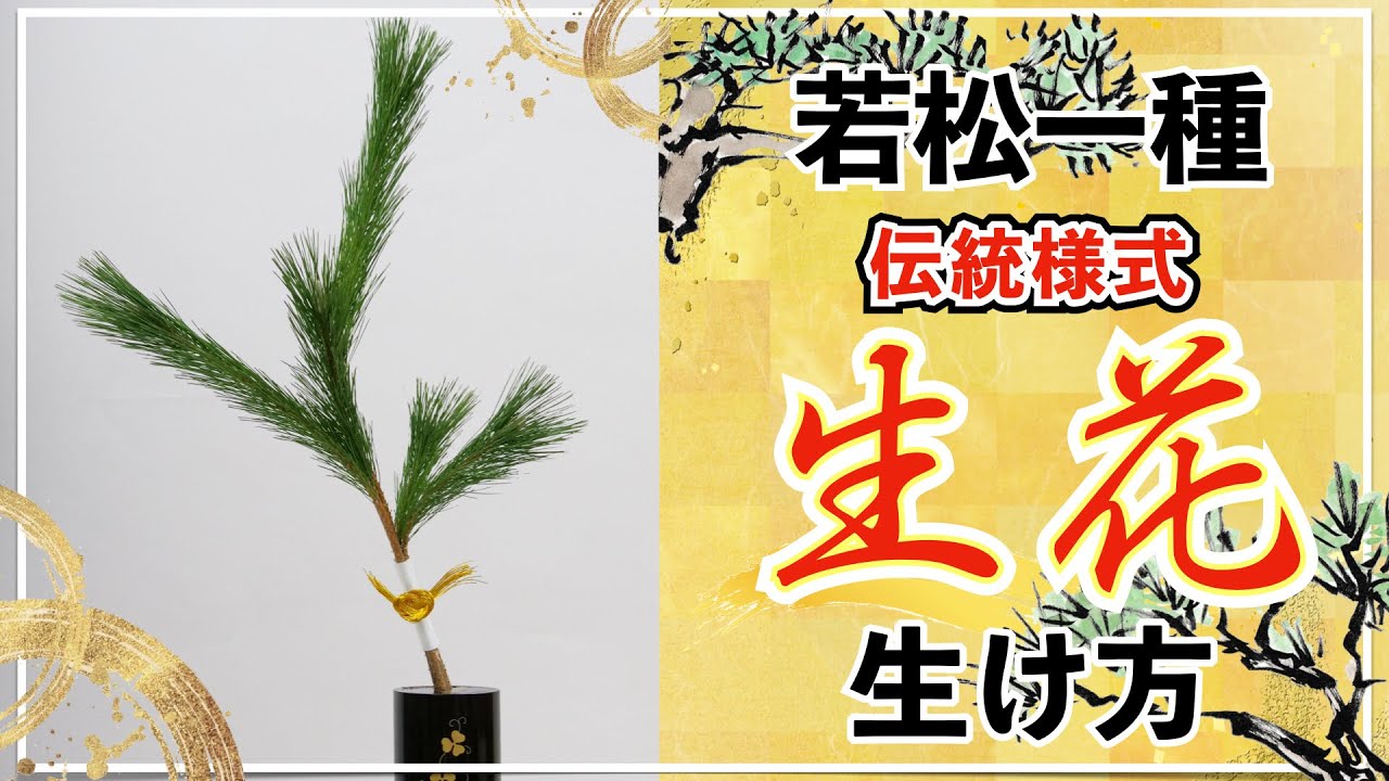 生け花】「若松1種」5本で生ける伝統的なお花の生け方【古流】 - YouTube