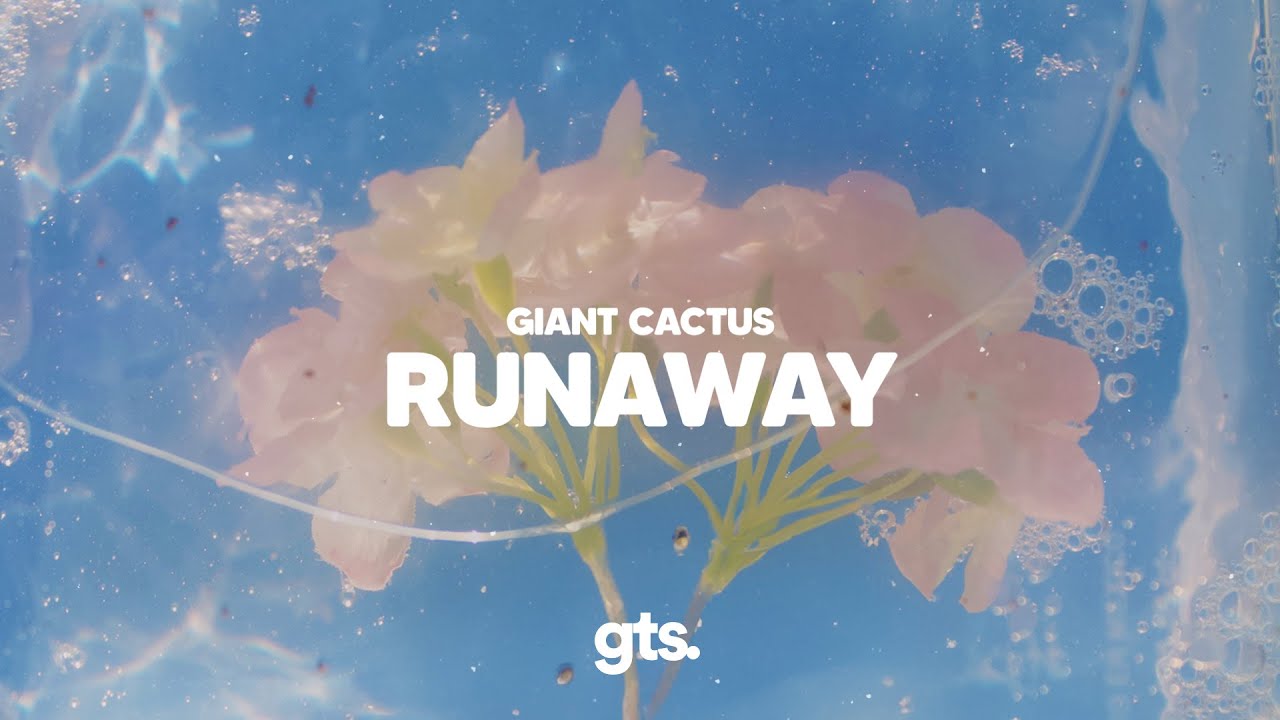 Guarda giant cactus - runaway (Lyrics) su YouTube Guarda giant cactus - runaway (Lyrics) su YouTube