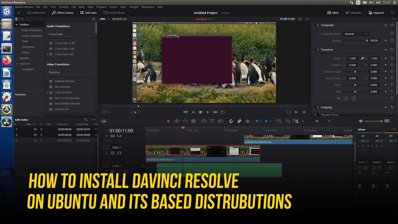 davinci resolve free download linux