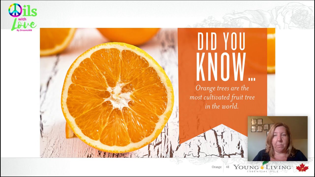 Essential Oils 101 - Orange