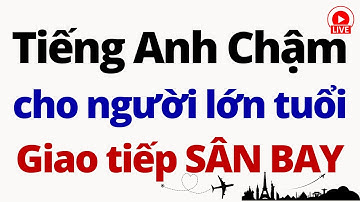 240 Câu Tiếng Anh Giao Tiếp ở Sân Bay | Luyện Nghe Tiếng Anh Giao Tiếp Chậm | Bài 1